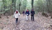 Excursión Marcha nórdica Dalhem - Warsage_28_10_2018 - Photo 19