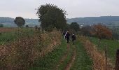 Excursión Marcha nórdica Dalhem - Warsage_28_10_2018 - Photo 17