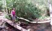 Excursión Carrera Urrugne - Montagne de Ciboure - Trabenea - Photo 1