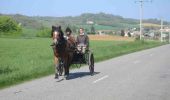 Trail Cycle Foix - Col de Calzan et rencontre équestre - Photo 3