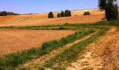 Tour Mountainbike Montjoire - De Montjoire aux Toulzas par Lacour - Photo 2