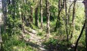 Excursión Carrera Montjoire - De Montjoire aux Toulzas par Lacour - Photo 4