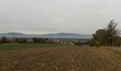 Trail Walking Heimsbrunn - 18.11.01.Heimsbrunn Morschwiller-le-Bas retour  - Photo 1