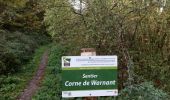 Tour Wandern Anhée - BIOUL ... par le Gros Bois de Warnant et la vallée de la Molignée. - Photo 2