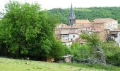 Tocht Mountainbike Bussières - La Bussièroise (VTT-2011) - Bussières - Photo 3