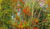 Tocht Stappen Haramont - en forêt de Retz_72_dans les forêts de Retz et de Compiègne - Photo 9