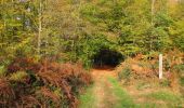 Trail Walking Haramont - en forêt de Retz_72_dans les forêts de Retz et de Compiègne - Photo 20