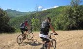 Trail Mountain bike Céret - De Céret vers Les Salines par le Coll del Pou de la Neu (Col du Puits de la Neige) - Photo 6