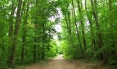 Trail Walking Boulogne-Billancourt - Parc de St Cloud et forêt de Fausses Reposes - Photo 1