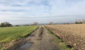 Trail Walking Oudenaarde - Melden 17,5 km - Photo 4