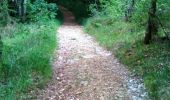 Trail Walking Chasteaux - La Montagne Pelée - Le Soulier - Photo 3