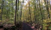 Trail Walking Anhée - Balade de Bioul à Annevoie - Photo 2