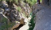 Trail Walking Estoublon - Gorges de Trévans - Estoublon - Photo 5