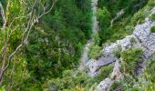 Trail Walking Estoublon - Gorges de Trévans - Estoublon - Photo 2
