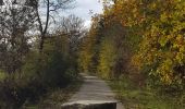 Trail Walking Hotton - Fronville - Monteuville - Petihan - Photo 10