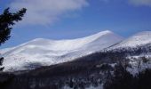 Tocht Mountainbike Mont-Dore - Espace VTT FFC du Sancy - Circuit n°20 - Le Capucin - Secteur Le Mont Dore  - Photo 2