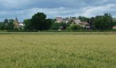 Tour Mountainbike Melay - Centre VTT FFC en Brionnais - Melay - Parcours N°5 - Photo 1