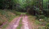 Trail Walking Brive-la-Gaillarde - De la vallée de Planchetorte à Noailles - Photo 1