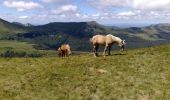 Tour Wandern Le Claux - La crête du Peyre Arse - Le Claux - Photo 2