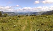 Trail Walking Le Claux - La crête du Peyre Arse - Le Claux - Photo 1