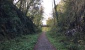 Trail Walking Anhée - Balade de l'abbaye de Maredsous à Ermeton-sur-Biert - Photo 8