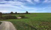 Trail Walking Anhée - Balade de l'abbaye de Maredsous à Ermeton-sur-Biert - Photo 7