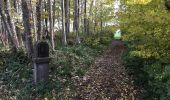 Trail Walking Anhée - Balade de l'abbaye de Maredsous à Ermeton-sur-Biert - Photo 6