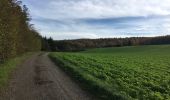 Trail Walking Anhée - Balade de l'abbaye de Maredsous à Ermeton-sur-Biert - Photo 4