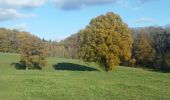 Trail Walking Somme-Leuze - NETTINE ... le Bois de Champaille et son parcours santé. - Photo 3