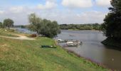Tocht Stappen Oudon - Les bords de Loire entre Oudon et Ancenis - Photo 3