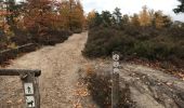 Trail Walking Heusden-Zolder - zandvoort 24 km - Photo 20