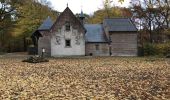 Trail Walking Heusden-Zolder - zandvoort 24 km - Photo 19