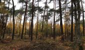 Trail Walking Heusden-Zolder - zandvoort 24 km - Photo 18