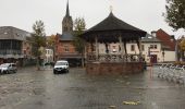 Tour Wandern Heusden-Zolder - zandvoort 24 km - Photo 10