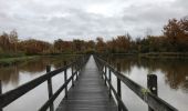 Tour Wandern Heusden-Zolder - zandvoort 24 km - Photo 2