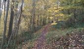 Trail Walking Yvoir - GODINNE ... par le 