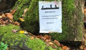 Trail Walking Binche - Buvrinnes 17 km - Photo 17