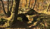 Trail Walking Haselbourg - chapelle st Fridolin Haselbourg maisons troglodyte  - Photo 10