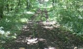 Tour Mountainbike Les Martres-de-Veyre - Vic Col de la Croix des gardes Mt Servait Puy de St Hippolyte - Photo 3