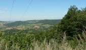 Tour Mountainbike Les Martres-de-Veyre - Vic Col de la Croix des gardes Mt Servait Puy de St Hippolyte - Photo 2