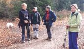 Tour Nordic Walking Limburg - Goé_11_11_2018 - Photo 3