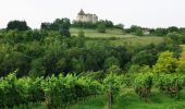 Randonnée V.T.T. Saint-Pourçain-sur-Sioule - Le Rallye du Vignoble de Saint Pourcain (4ème édition) - Photo 4