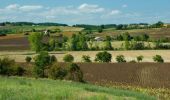 Randonnée Marche Mauvezin-sur-Gupie - Autour de Mauvezin sur Gupie - Photo 2