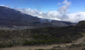 Tour Wandern Sainte-Rose - volcan nez coupe du tremble - Photo 2