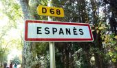 Randonnée Marche Espanès - Autour d'Espanès - Photo 3