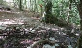 Trail Walking Castans - Les crêtes de San Marty - Castans Hameau de Laviale - Photo 2