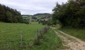 Tocht Mountainbike Douvres - Douvres 65km 2780m - Photo 2