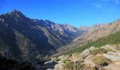 Excursión Senderismo Asco - Monte Padru - Asco - Photo 4