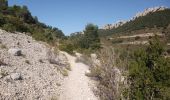 Trail Walking Lafare - Le tour du Grand Montmirail - Lafare - Photo 1