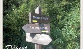 Randonnée Course à pied Noyers-sur-Jabron - Bois de la Clapeyrie - Noyers sur Jabron - Photo 6